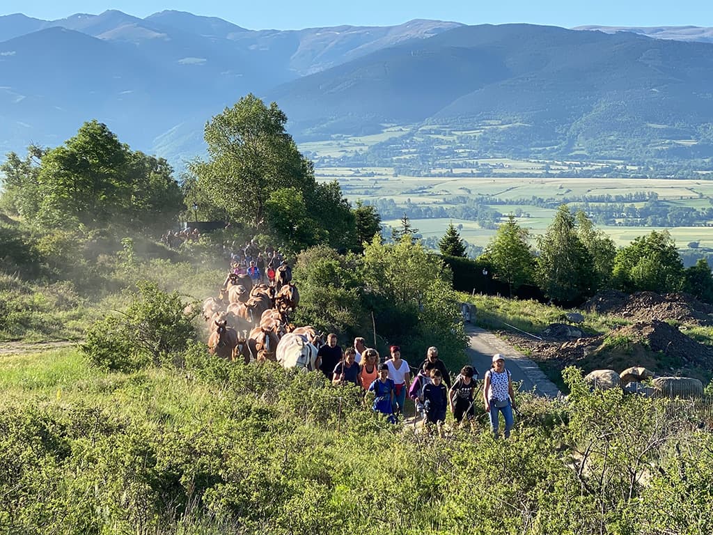 Ruta cap a l’alta muntanya