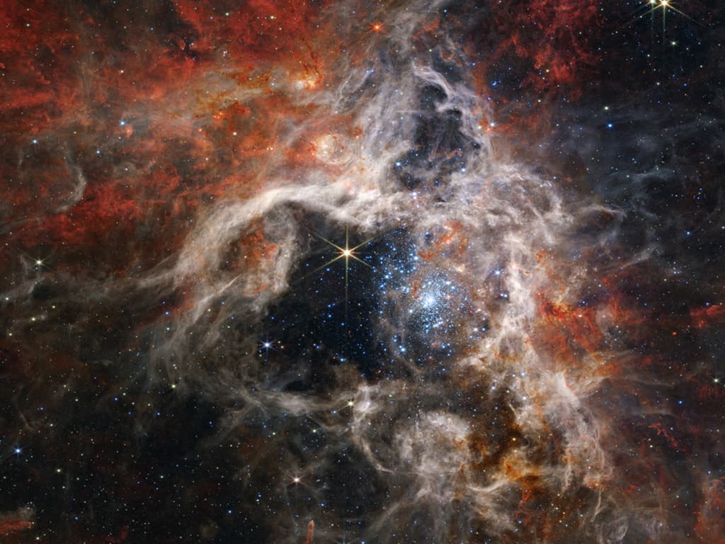Taràntules a l’Univers