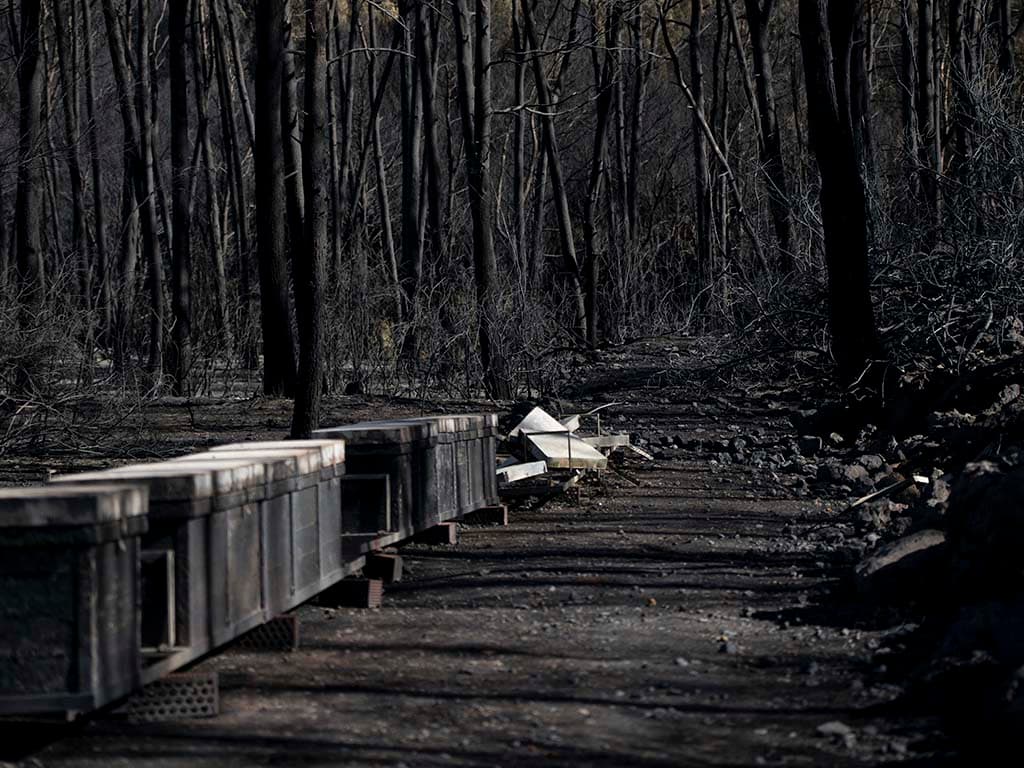 Economies familiars truncades
