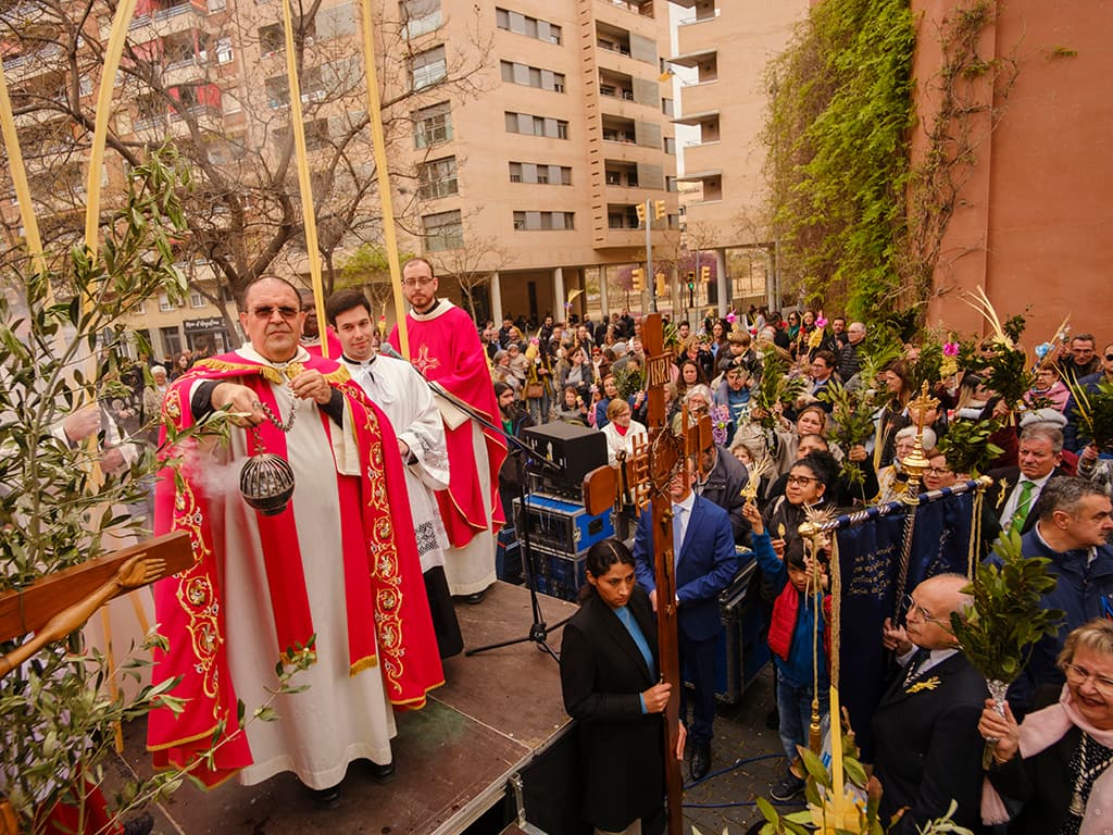 Dia de palmes i palmons