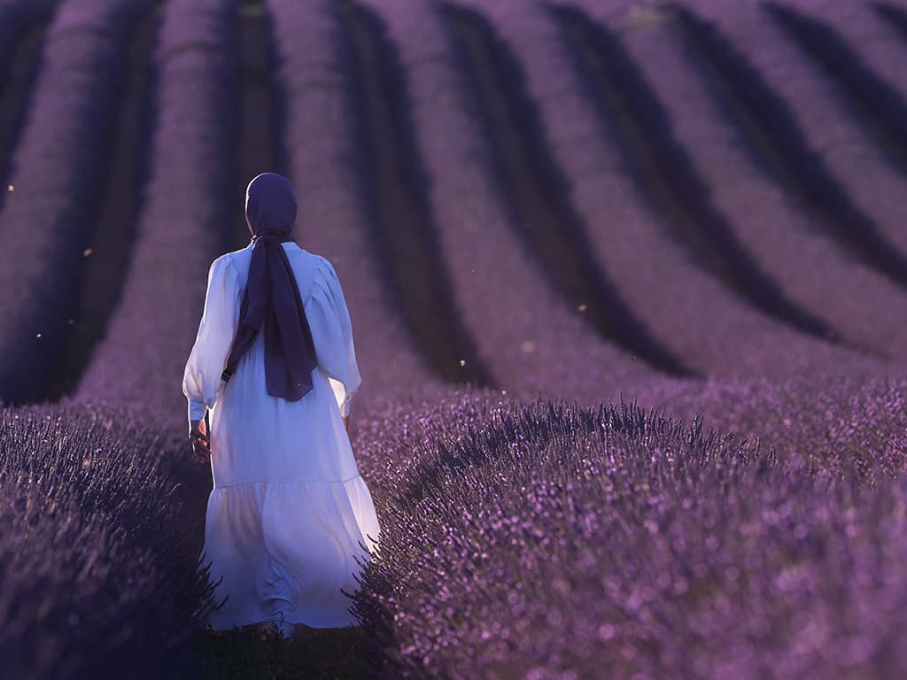 Les rutes de la lavanda
