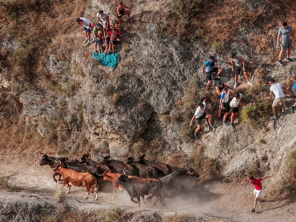 ‘Encierro’ accidentat al tradicional Pilón de Falces