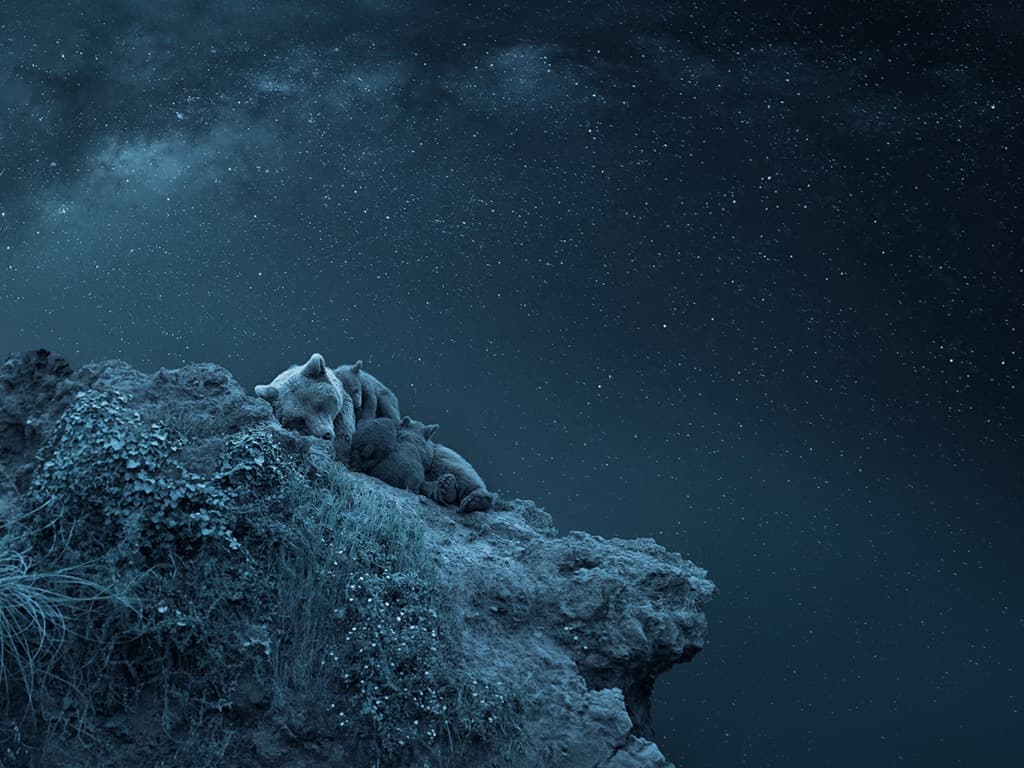 Els somnis i l’Univers