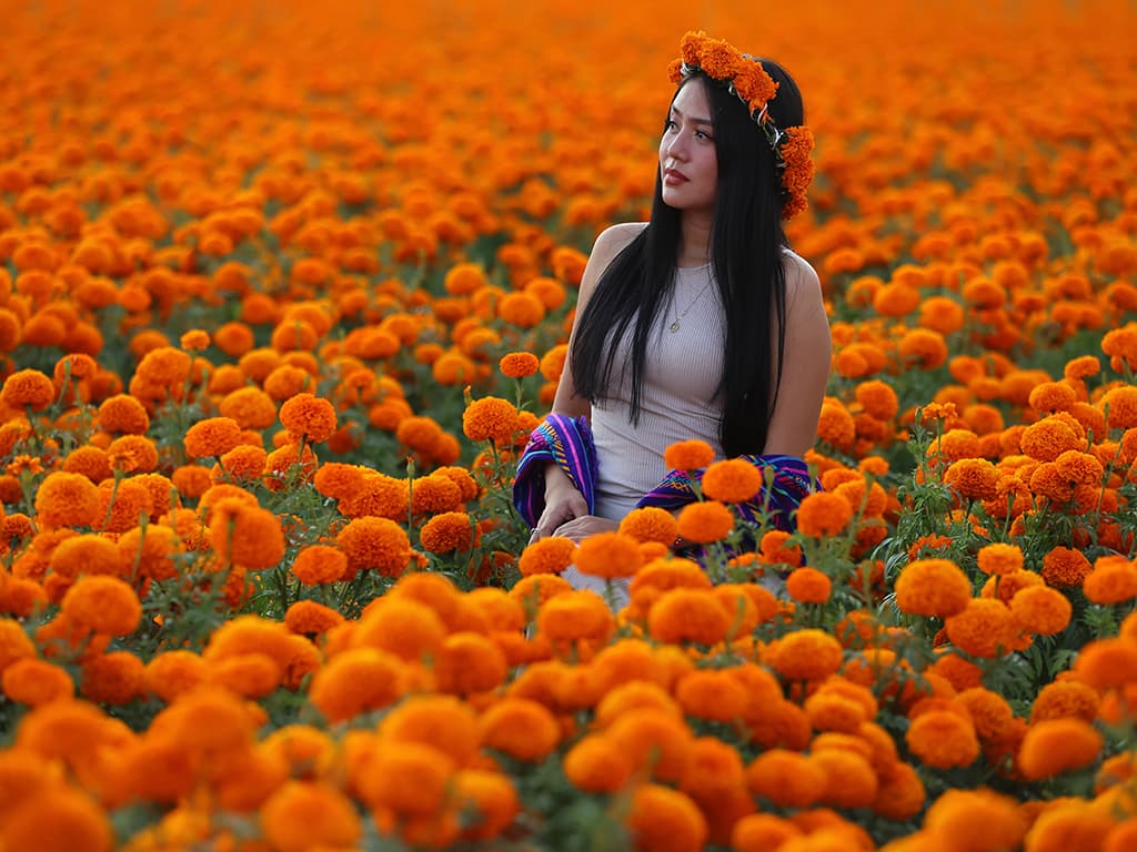 La flor de la mort