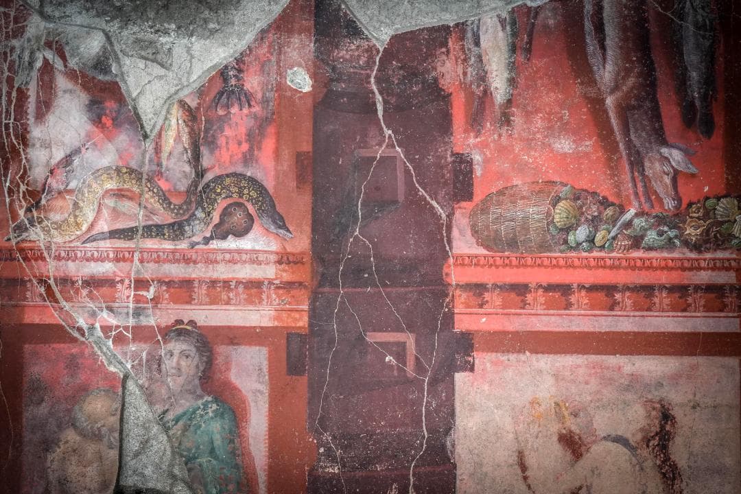 Dionís reapareix a Pompeia