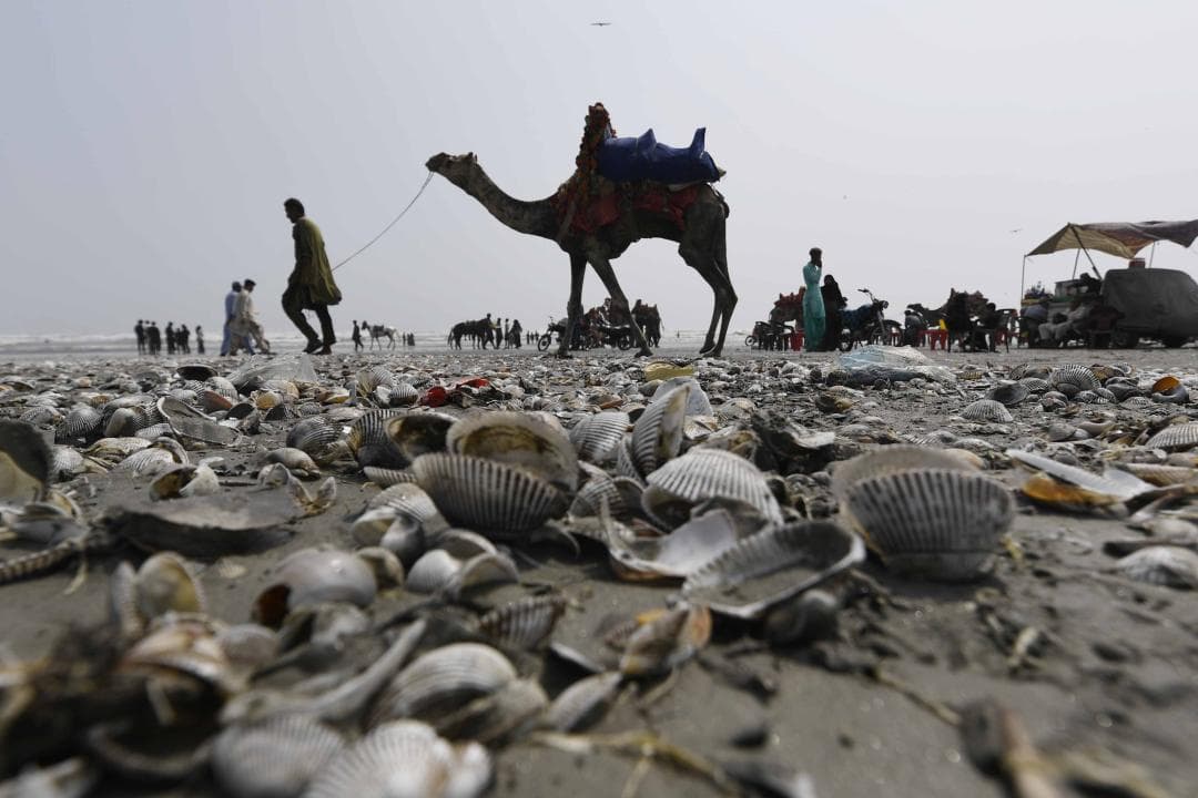Les platges de Karachi