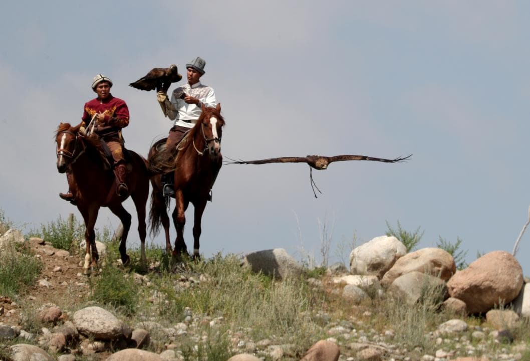 El senyor de les àguiles