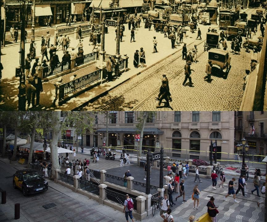 Pinacles centenaris a la parada de metro de Liceu
