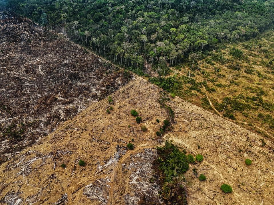 La vida a la Terra, en estat crític