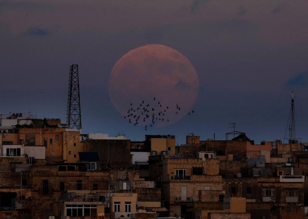 La més grossa de l’any