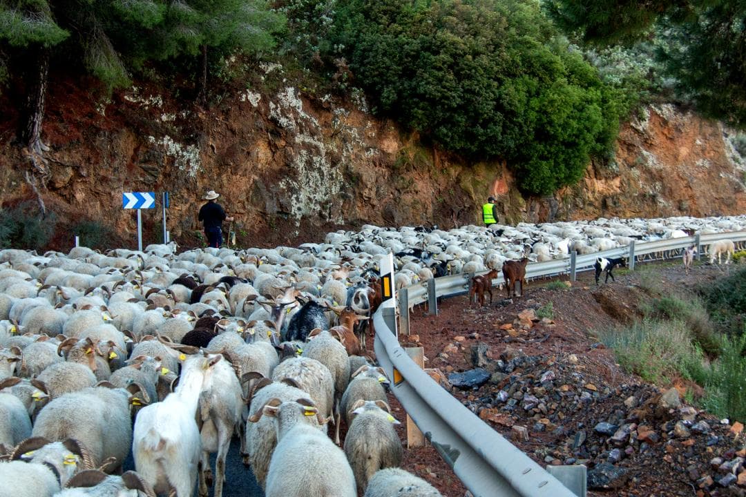 Una ‘cabralcada’