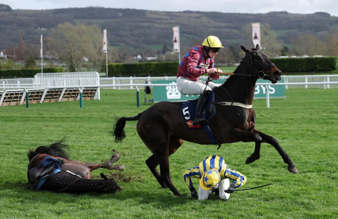 Als peus dels cavalls