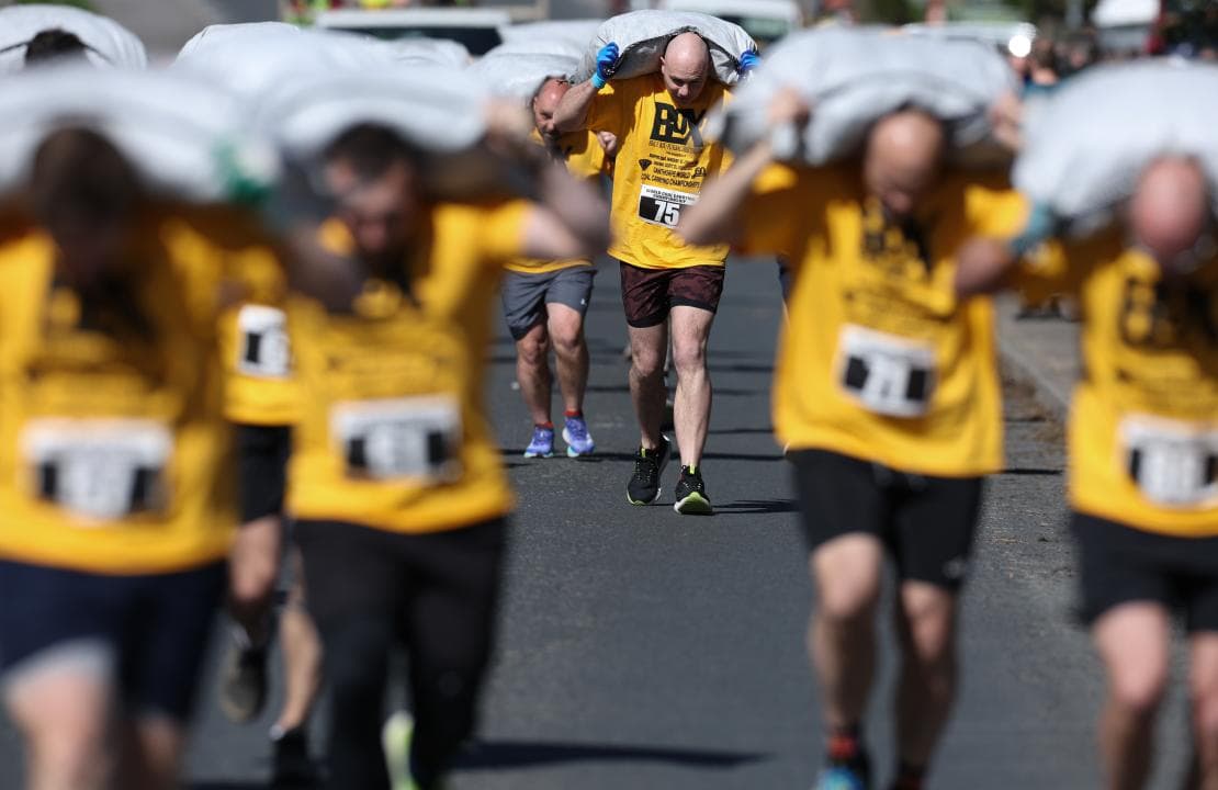 Sense mona, sac de carbó