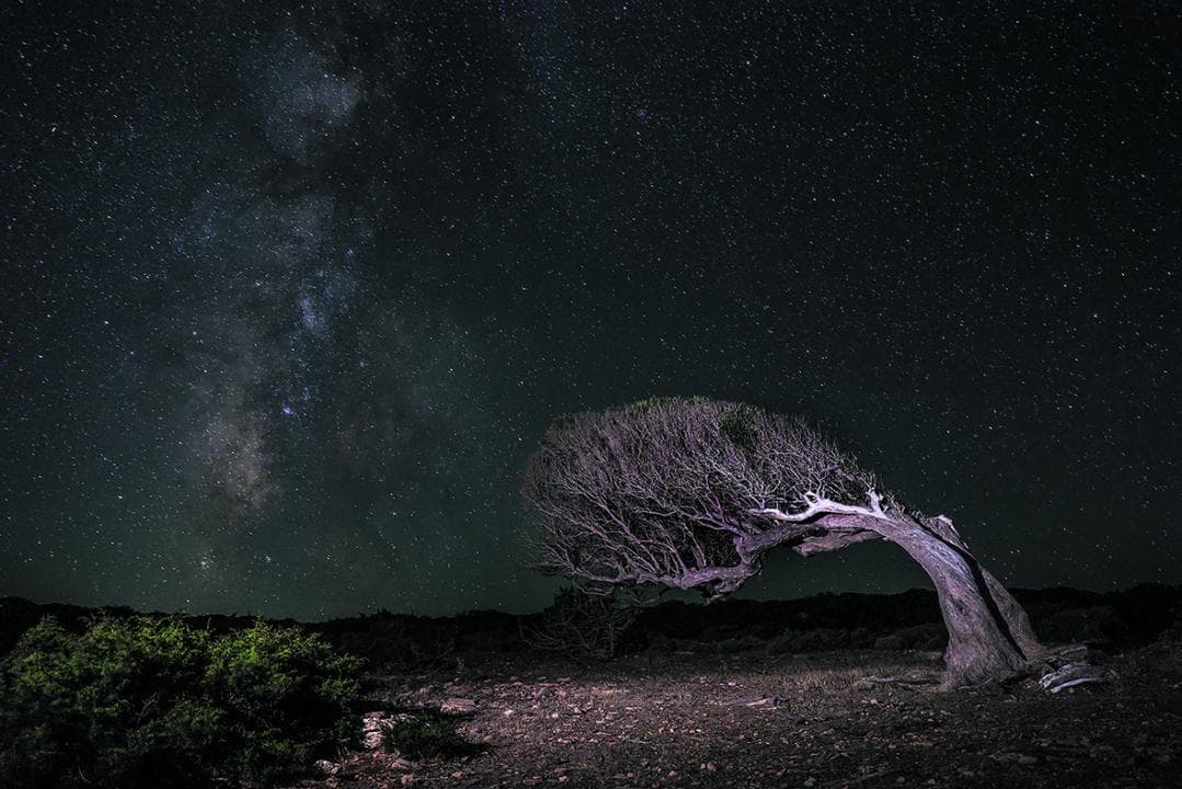 La força de la natura