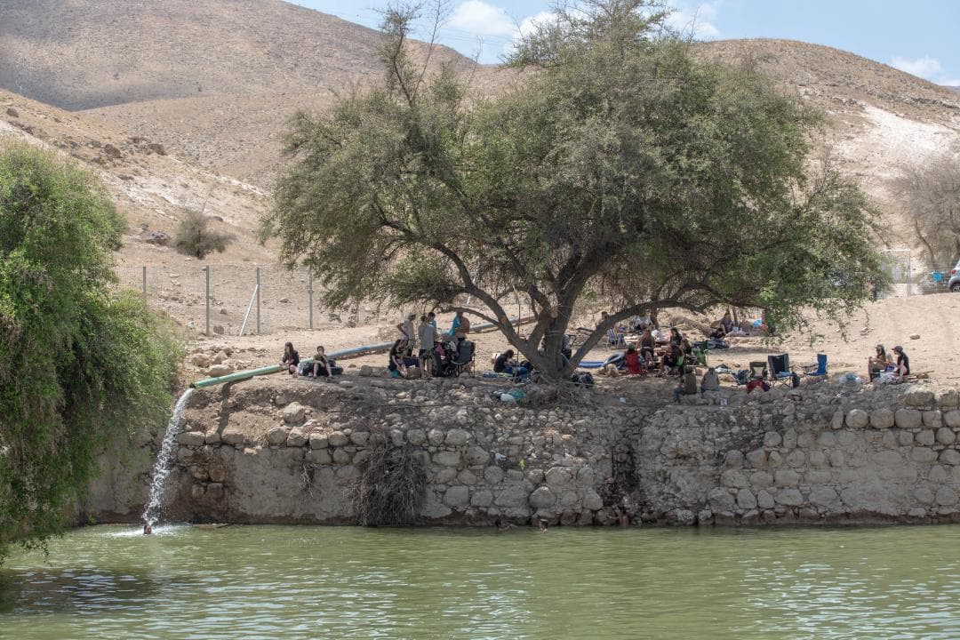 La bassa de la vergonya