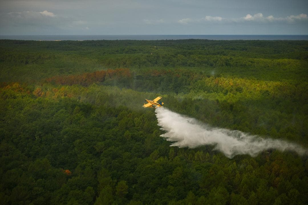 La bellesa del salvament des de l’aire del bosc en perill