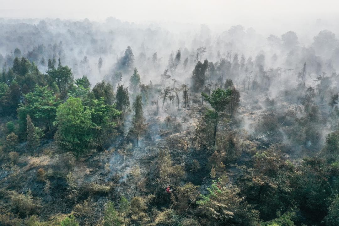 Incendis cremen a Indonèsia