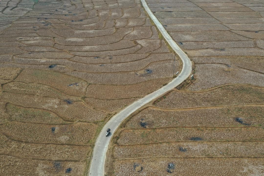 Sequera a Indonèsia
