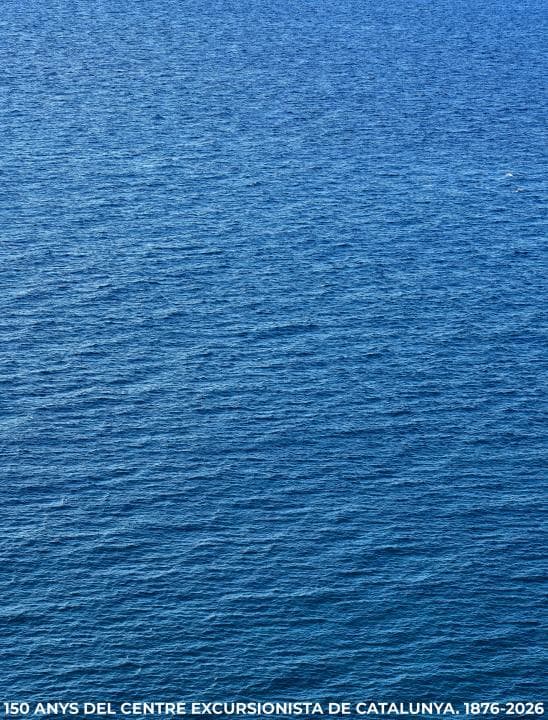 Perejaume, natura i identitat